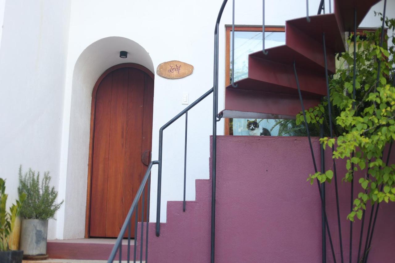 Cherry Suites Dalat Exteriör bild